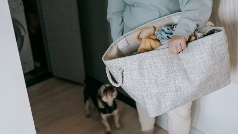 Ошибка F11 в стиральной машине Beko, помощь в Санкт-Петербурге