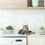 Ошибка F18 в стиральной машине Beko, помощь в Санкт-Петербурге image_22.jpg