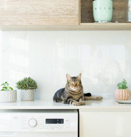 Ошибка F18 в стиральной машине Beko, помощь в Санкт-Петербурге