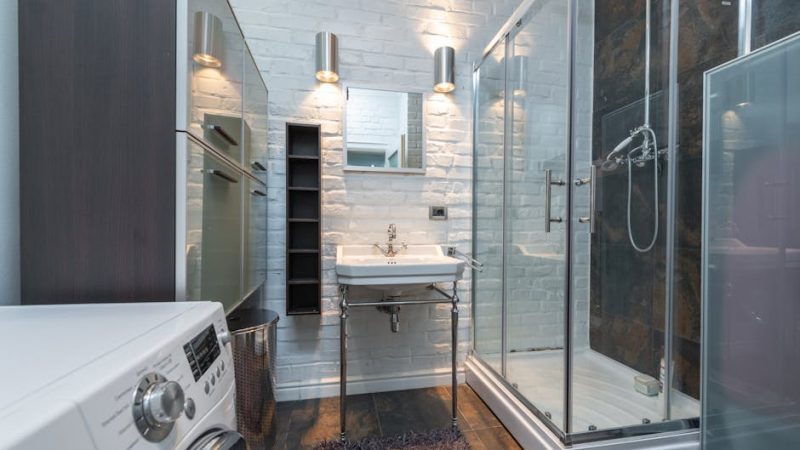 Ремонт насоса стиральной машины Weissgauff в Санкт-Петербурге