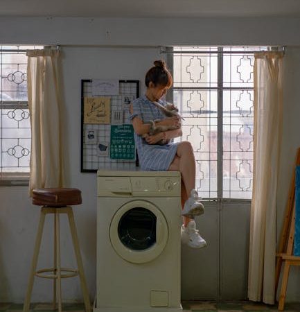 Ремонт стиральной машины Pozis в Санкт-Петербурге