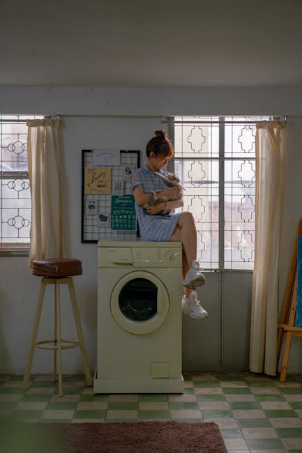 Ремонт стиральной машины Pozis в Санкт-Петербурге