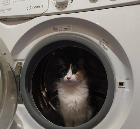 Ремонт стиральной машины Weissgauff в Санкт-Петербурге