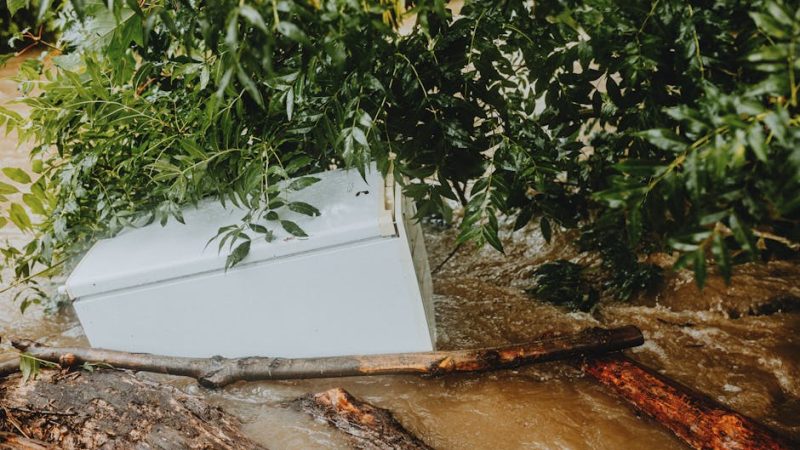 Ремонт стиральной машины Krona в Санкт-Петербурге