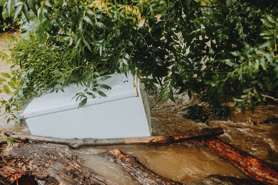 Ремонт стиральной машины Krona в Санкт-Петербурге