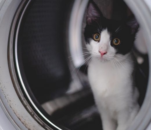 Ремонт стиральной машины Hisense в Санкт-Петербурге