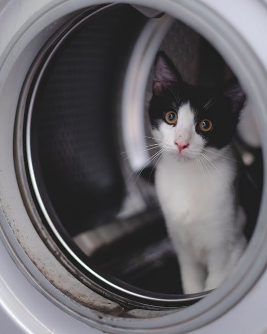 Ремонт стиральной машины Hisense в Санкт-Петербурге