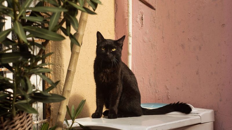 Ремонт стиральной машины Бирюса в Санкт-Петербурге