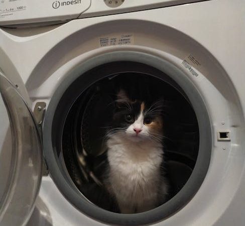 Ремонт и обслуживание стиральной машины AEG в Санкт-Петербурге