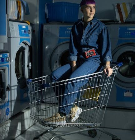 Ошибка E83 в стиральной машине Mitsubishi, помощь в Санкт-Петербурге